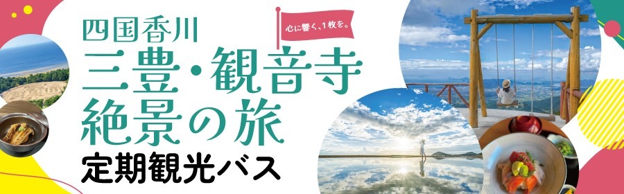 祖谷かずら橋